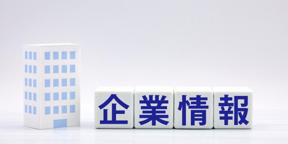 企業情報を表すブロックとビルのイラスト