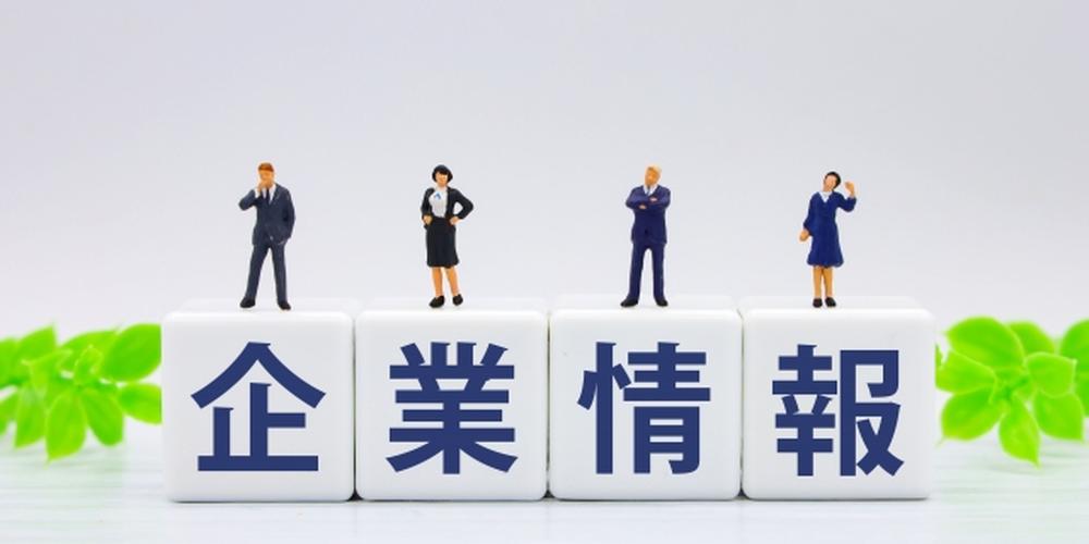 企業情報と書かれたブロックの上にビジネスマンとビジネスウーマンのフィギュアが立っている画像