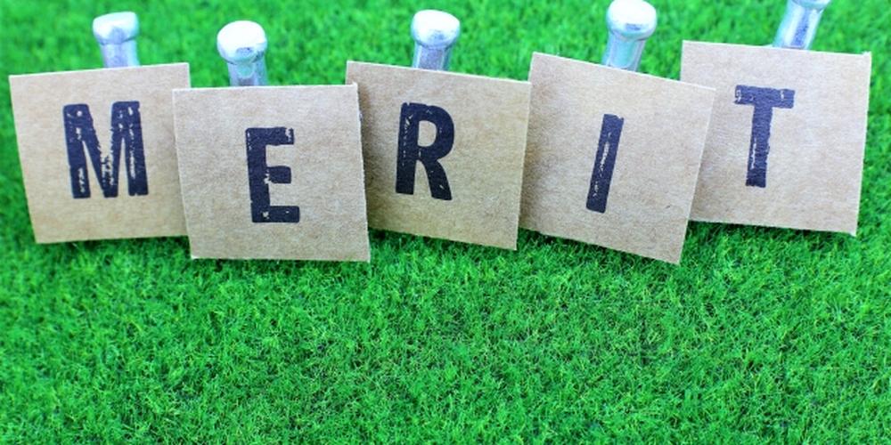 芝生の上にピン留めされた『MERIT』の文字