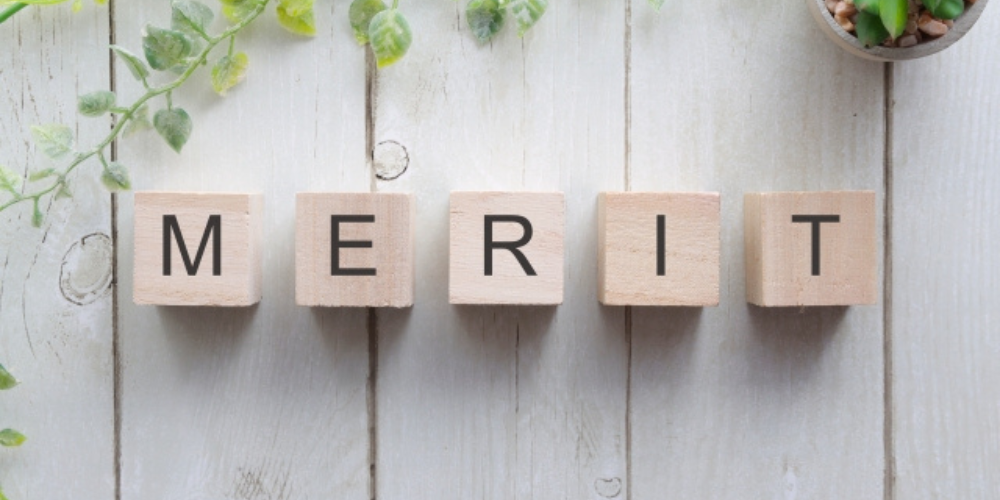 木のブロックに『MERIT』と書かれ、周囲に観葉植物が配置された画像