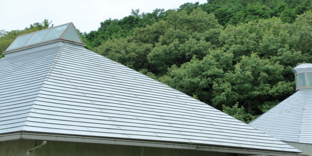 緑豊かな背景に調和するスレート屋根の建物。自然環境との共存や景観を意識した建築を象徴